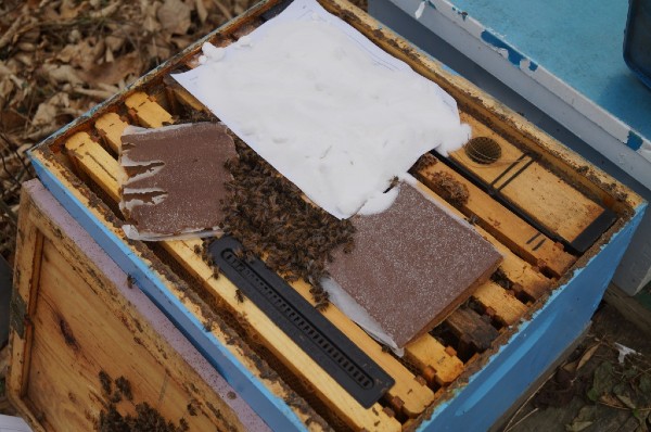 Pogaca za ishranu pcela