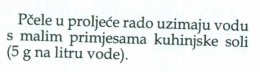 Dodavanje soli u pojilicu za pcele