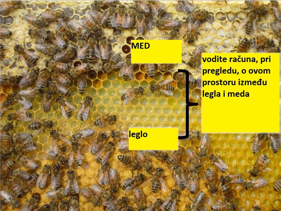 %%post_title%% | %%site_title%%