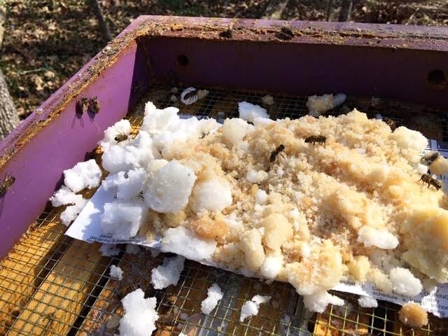 Dodavanja pogača za pčele