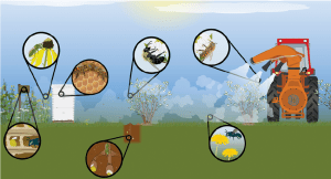 uticaj prskanja voca na pcelu