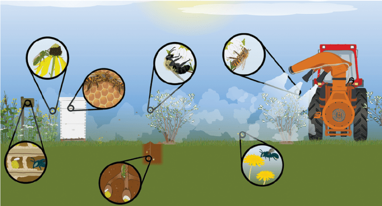 uticaj prskanja voca na pcelu