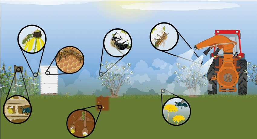 uticaj prskanja voca na pcelu