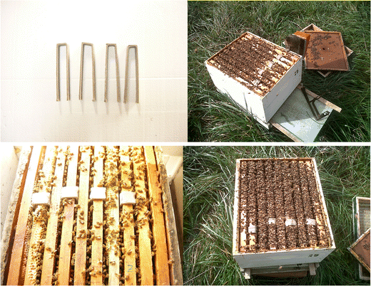 Glicerinske trake sa oksalnom kiselinom primena