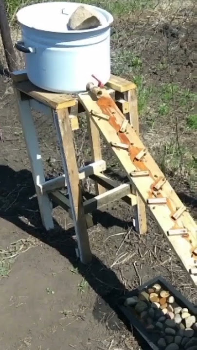 Pojilica za pcele - voda u pcelinjaku