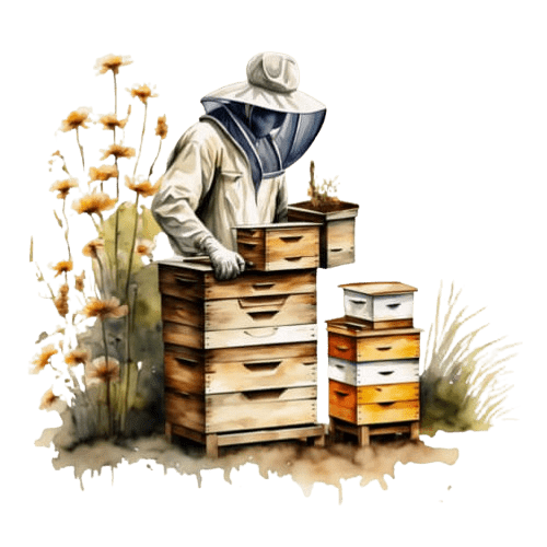 pčelar pomera košnice