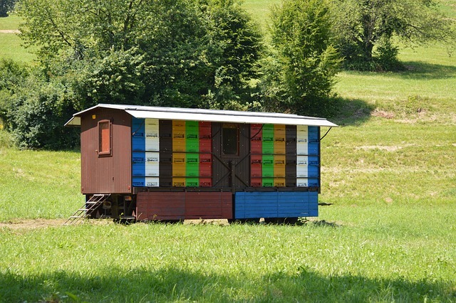 Udaljenost pčelinjaka pri selidbi