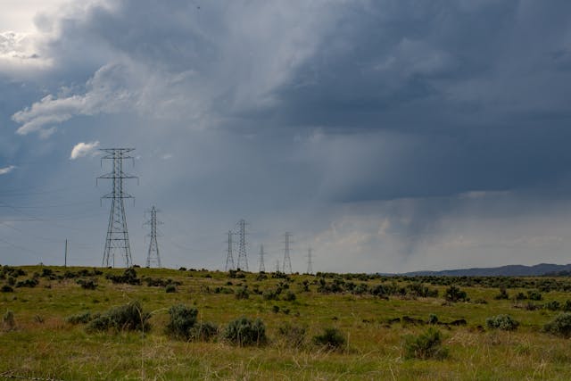 elektromagnetno zracenje i pcele