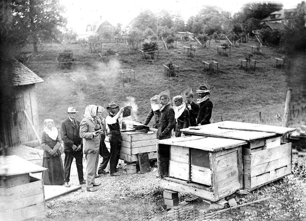 Istorija pcelarstva 1919 godina