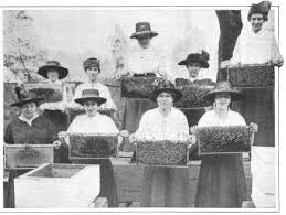 Istorija pcelarstva - crnobela fotografija