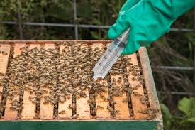 okslana kiselina tretman nakapavanjem