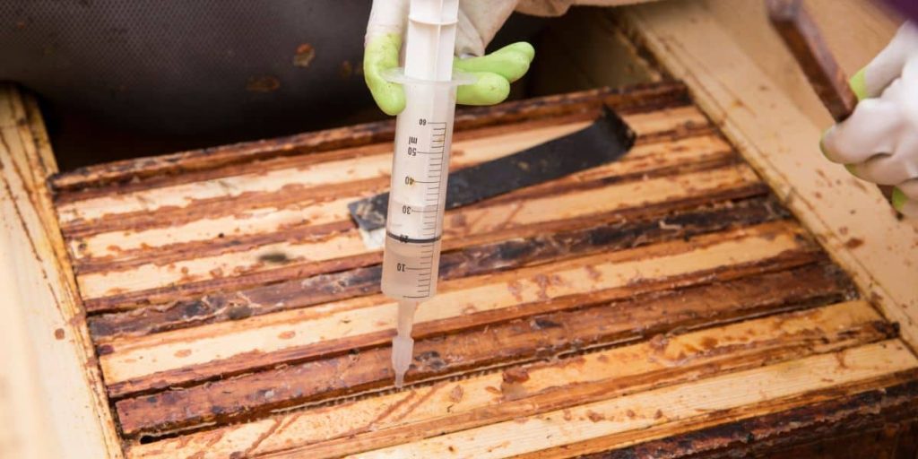 zimski tretman pčela