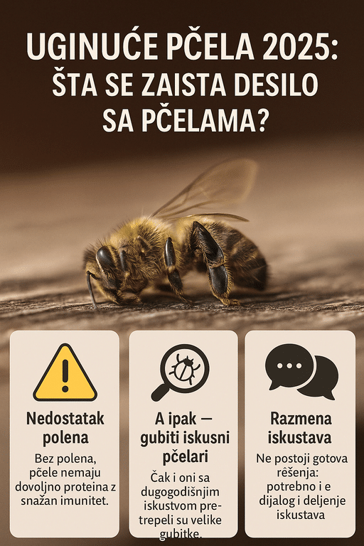 Uginuce pčela 2025