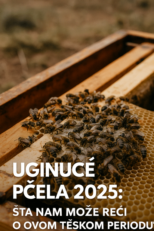 uginuće pčela 2024-2025