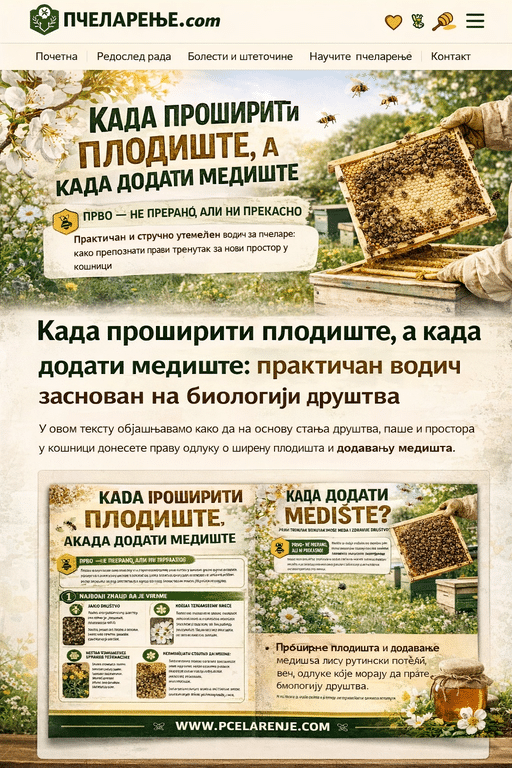 Naslovna slika članka o tome kada proširiti plodište i kada dodati medište, sa pčelarom, košnicom i infografikom o upravljanju pčelinjim društvom.
